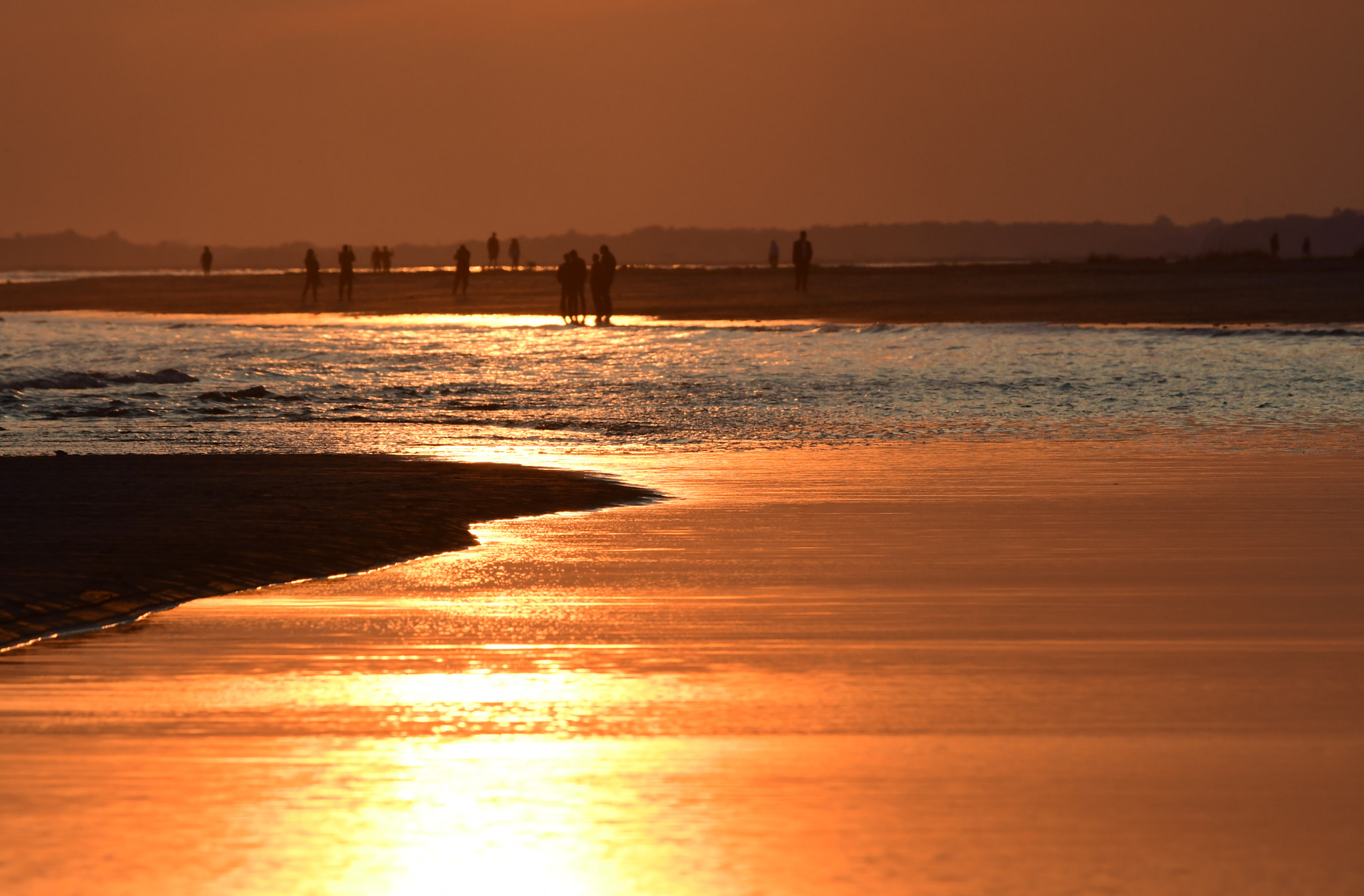 Nikon D500 sample photo
