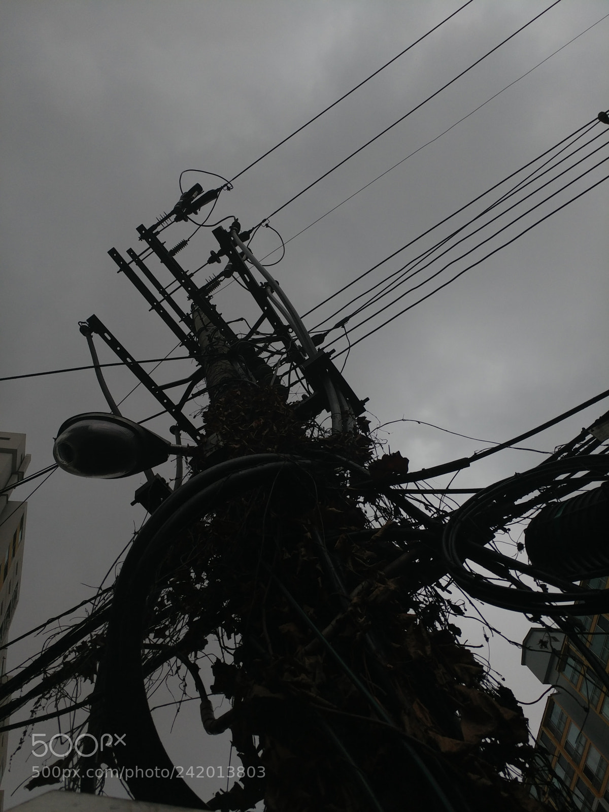 LG V20 sample photo. Utility pole photography