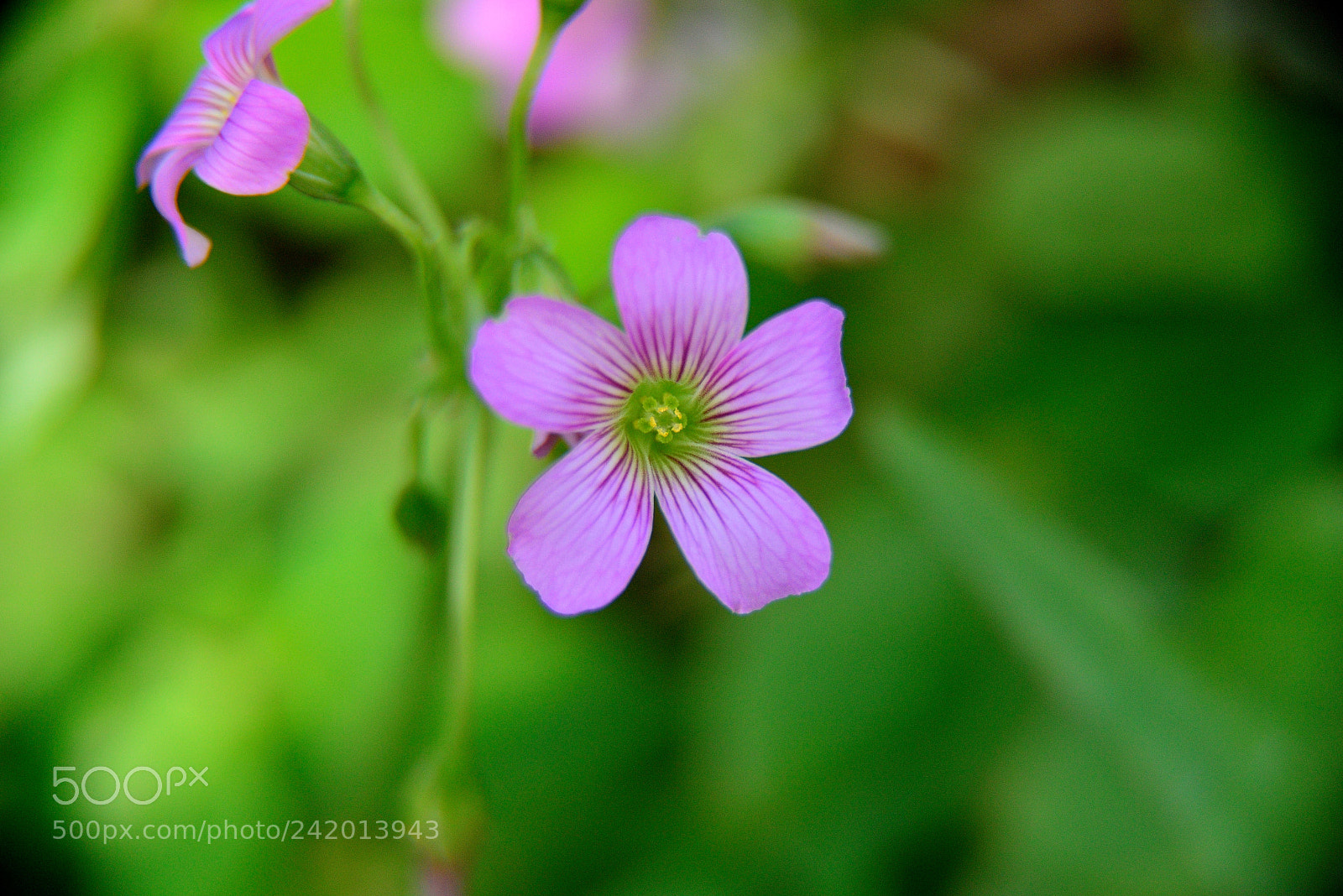 Nikon AF-S Nikkor 24-120mm F4G ED VR sample photo. Dsc photography
