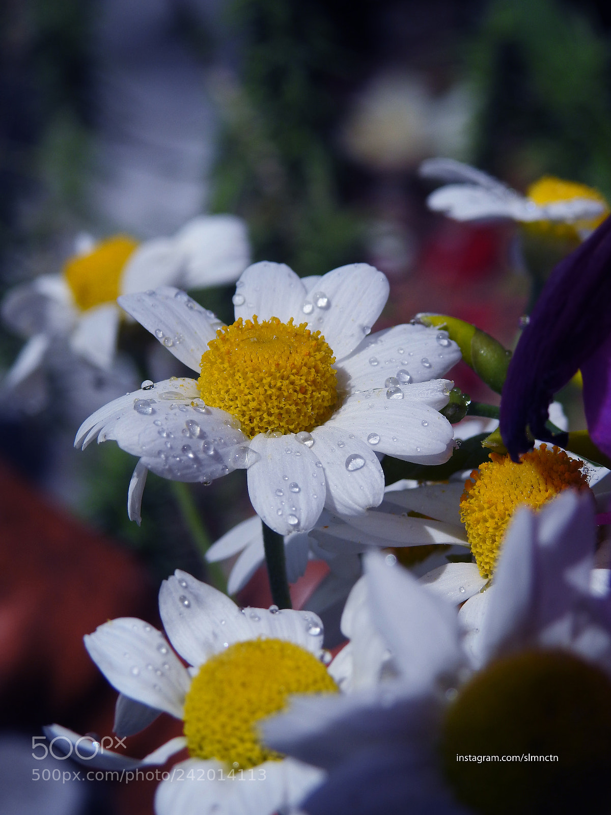 Nikon Coolpix P900 sample photo. Aresizli im buna m photography