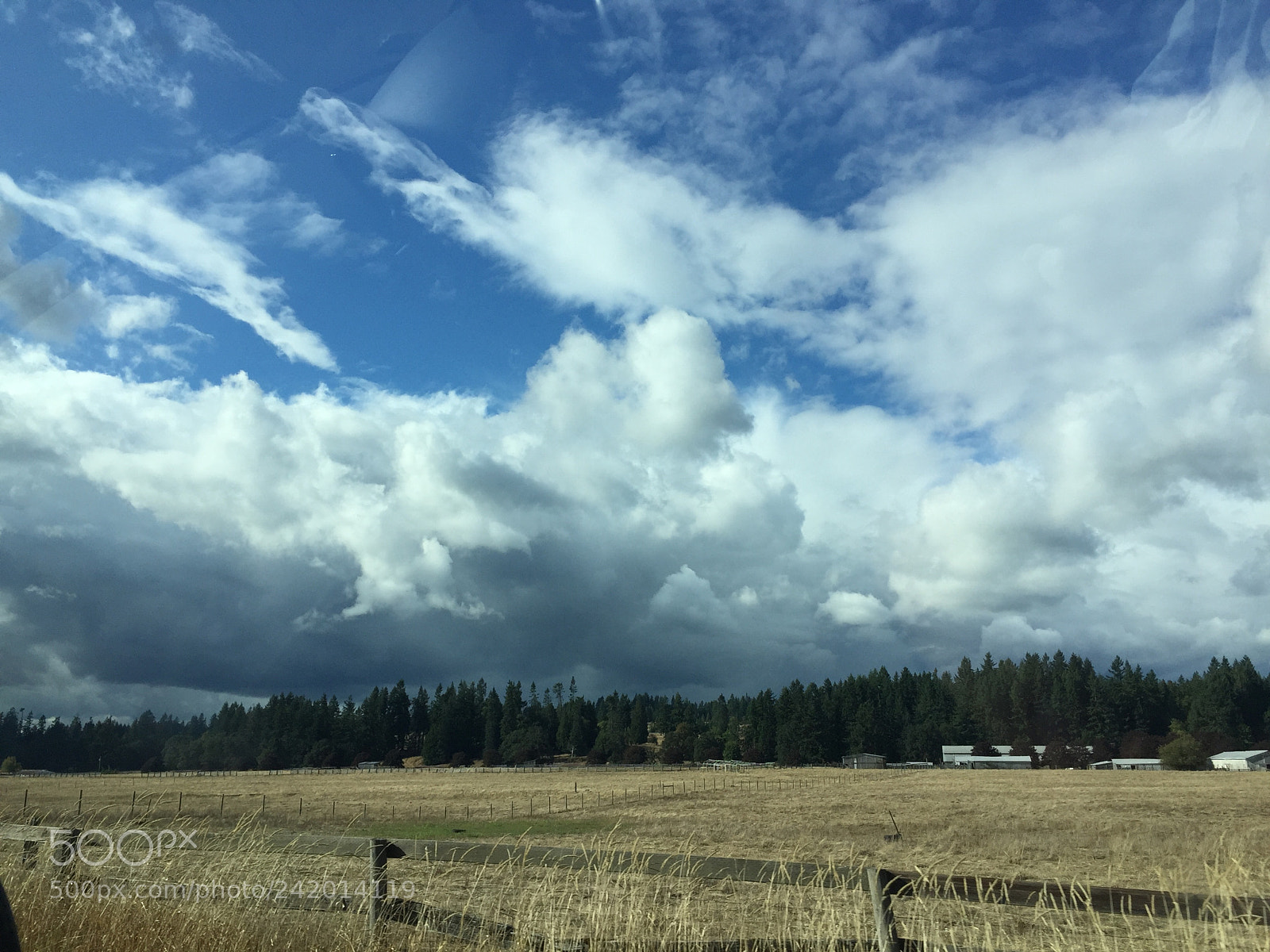 Apple iPhone 6 sample photo. Take me home photography