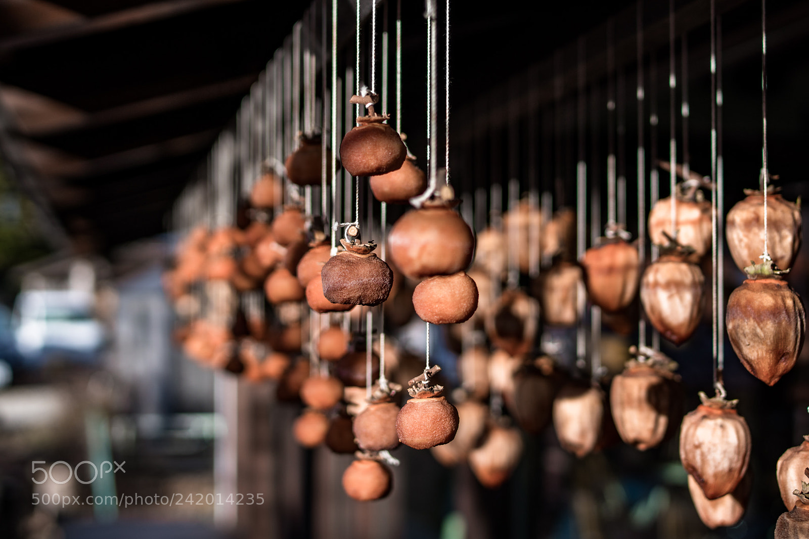 Sony a6500 sample photo. Dried persimmon photography