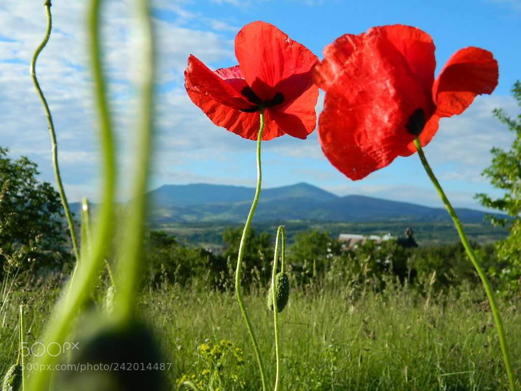 Nikon Coolpix L120 sample photo. Rtanj, mountain , serbia photography