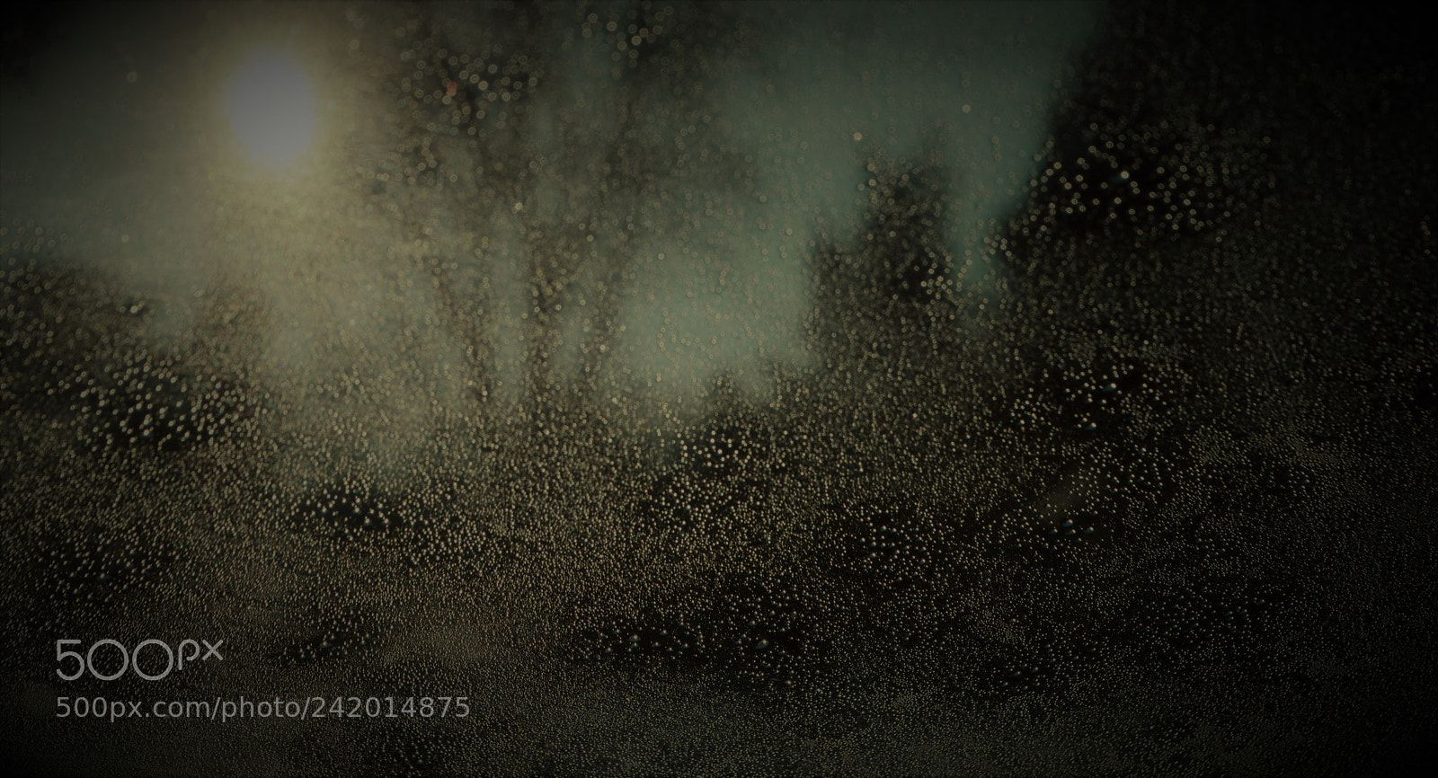 Nikon D3200 sample photo. A dash of winter photography