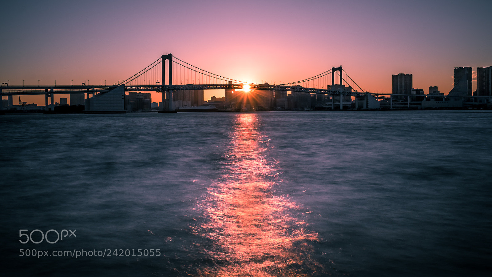 Fujifilm X-Pro2 sample photo. Rainbow bridge - tokyo photography
