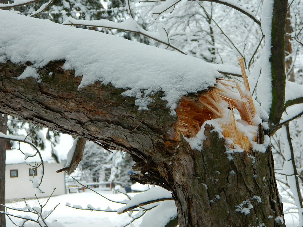 Nikon Coolpix L120 sample photo. Snow photography