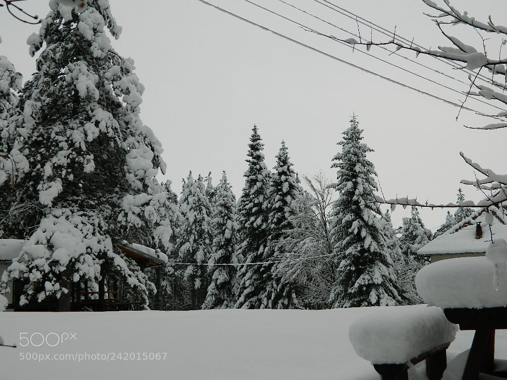 Nikon Coolpix L120 sample photo. Vrelo sokobanja photography