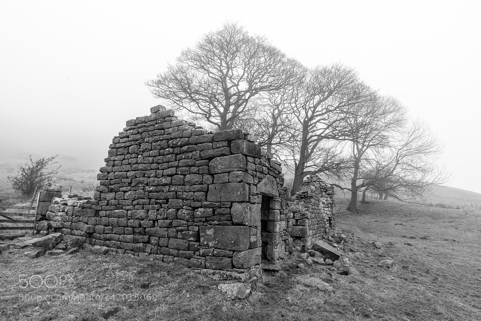 Nikon D810 sample photo. Ruin photography
