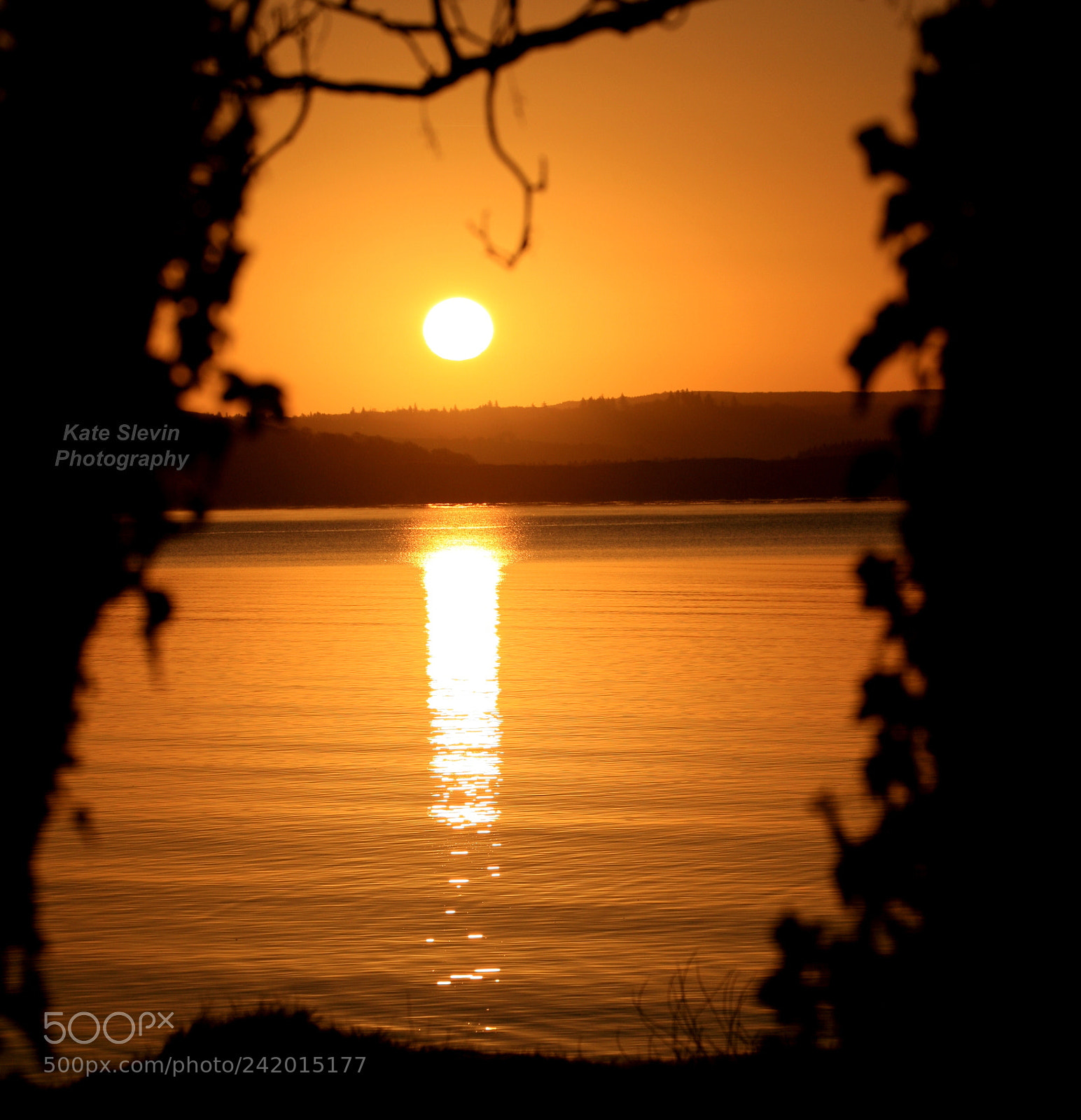 Canon EOS-1Ds Mark III sample photo. Sunrise at the field photography