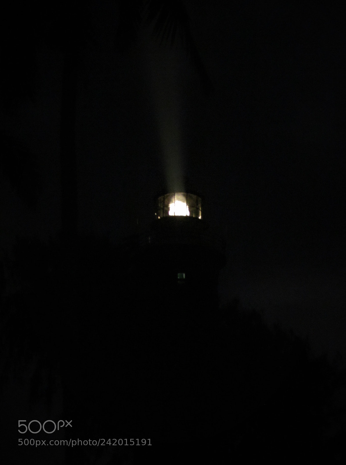 Canon PowerShot SX30 IS sample photo. The leading light photography
