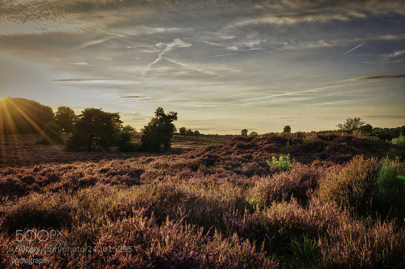 Nikon D5000 sample photo. Sunset photography