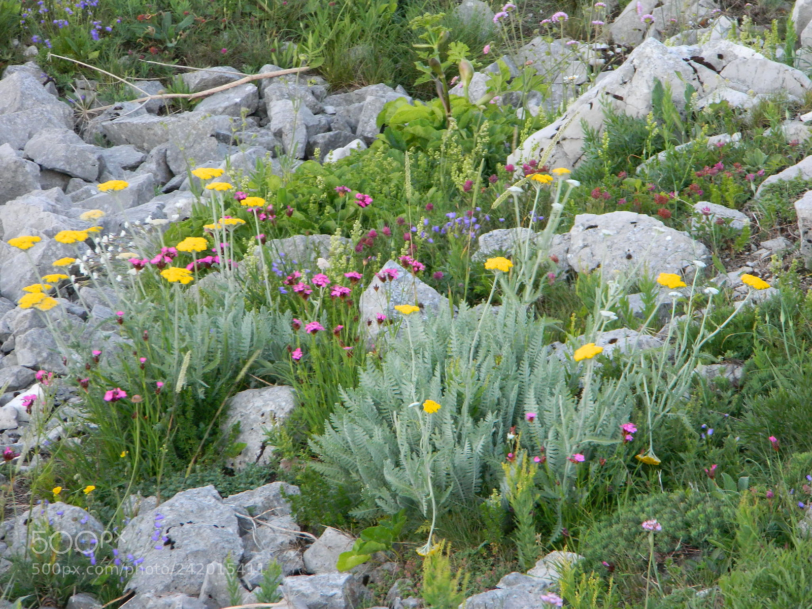 Nikon Coolpix L120 sample photo. Rtanj, mountain , serbia photography