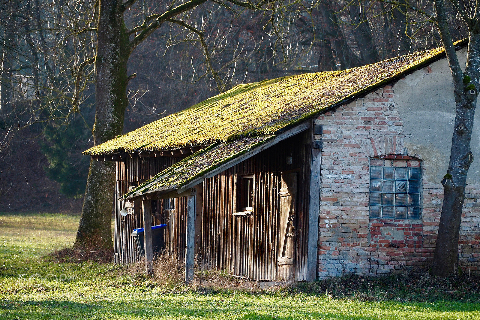 Olympus OM-D E-M5 II sample photo. Winter shed photography
