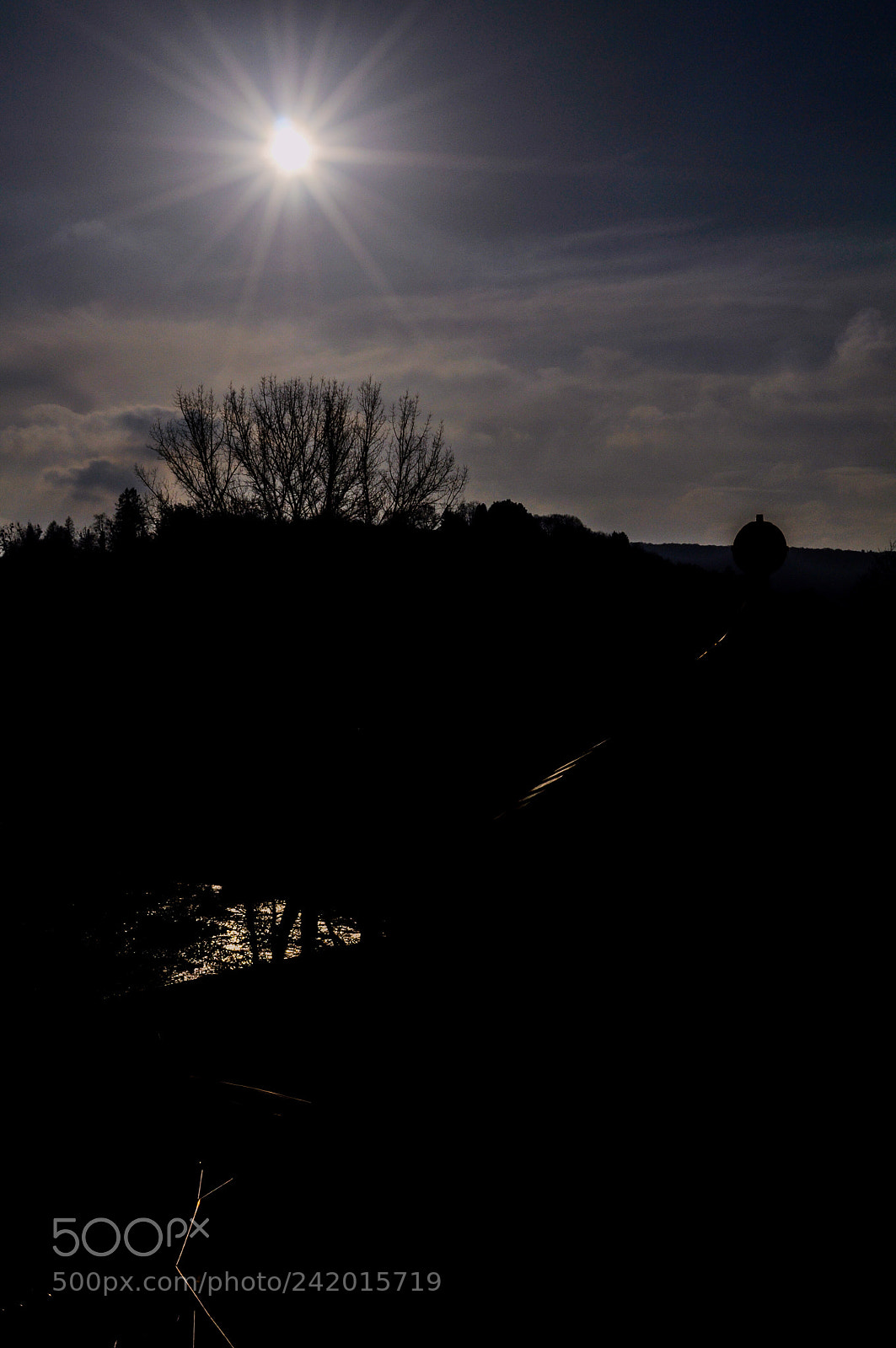 Nikon D5000 sample photo. Untitled photography