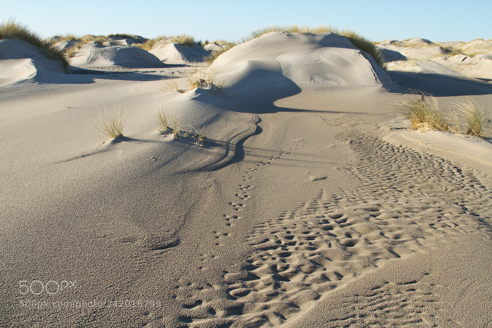 Canon EOS 7D sample photo. Dunes photography