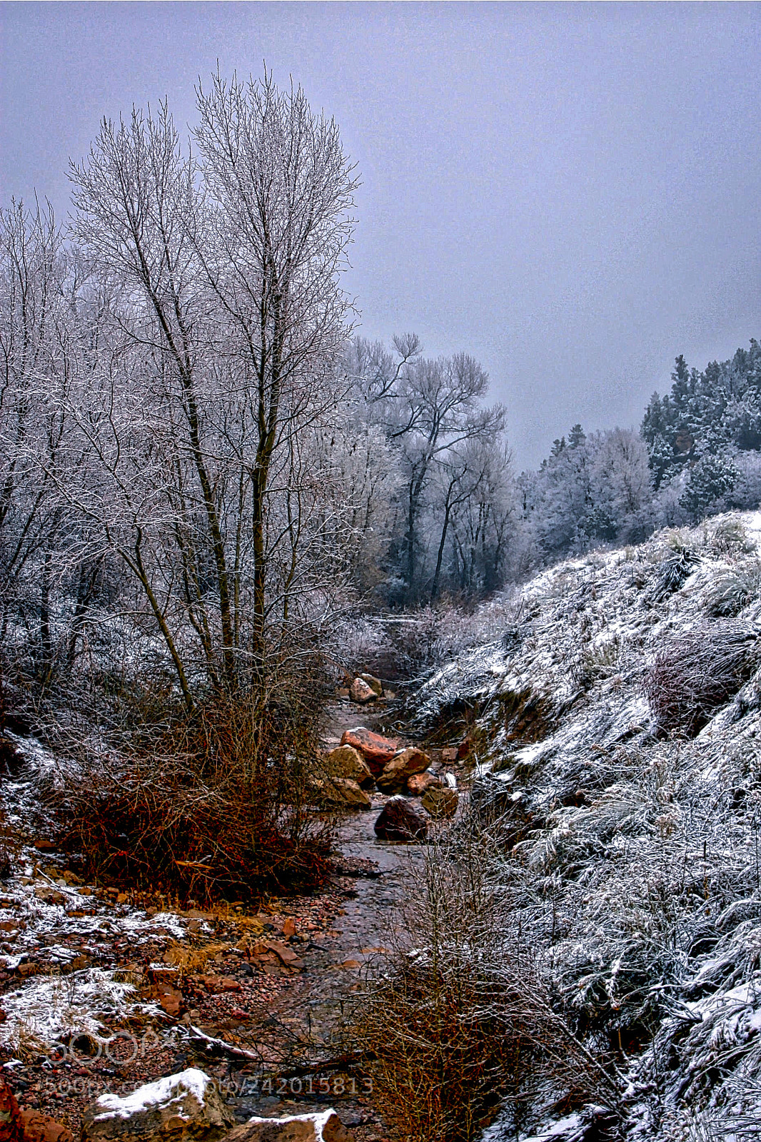 Canon EOS 450D (EOS Rebel XSi / EOS Kiss X2) sample photo. Winter scene photography