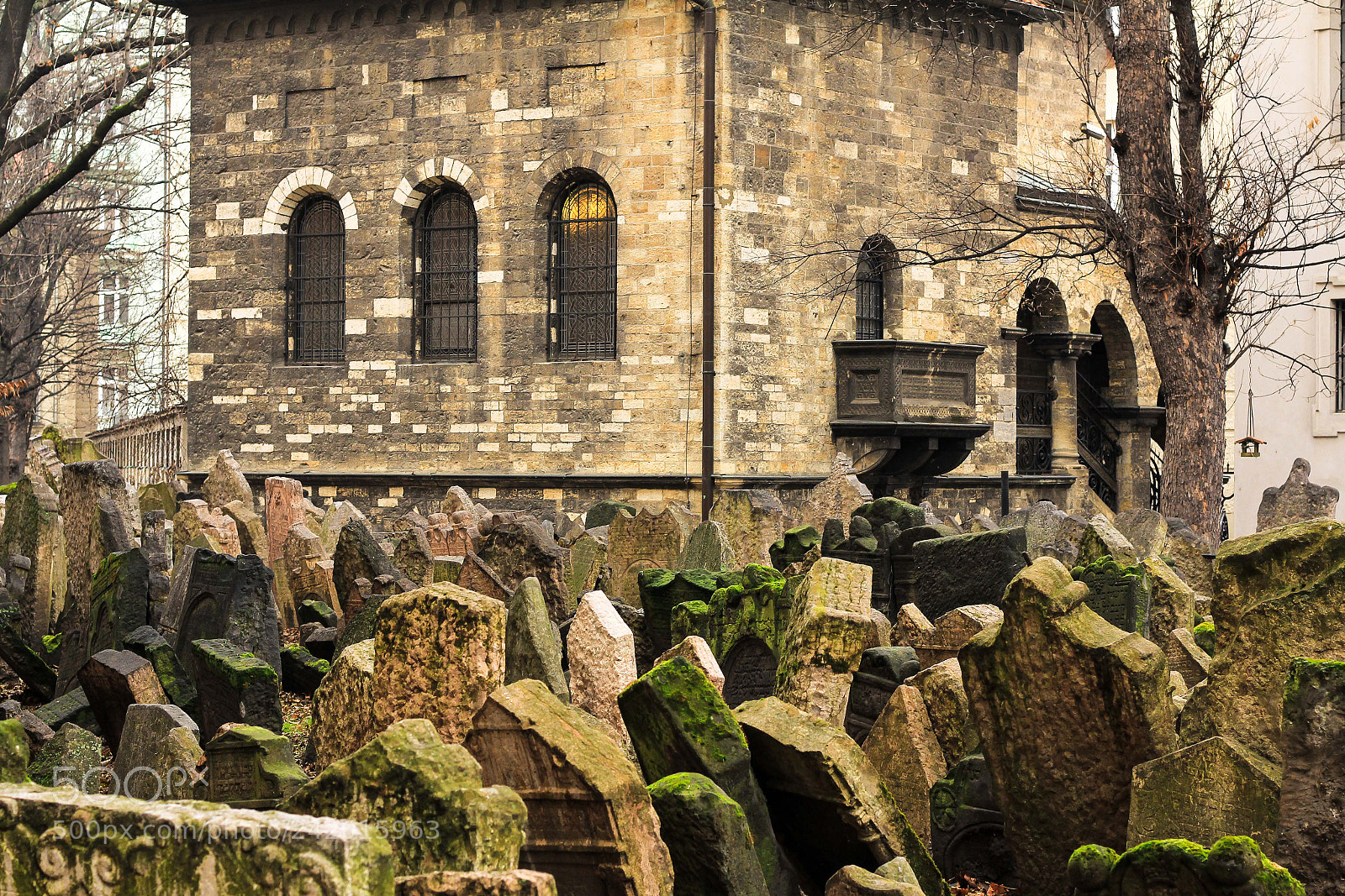 Canon EOS 60D sample photo. Jewish cementary photography