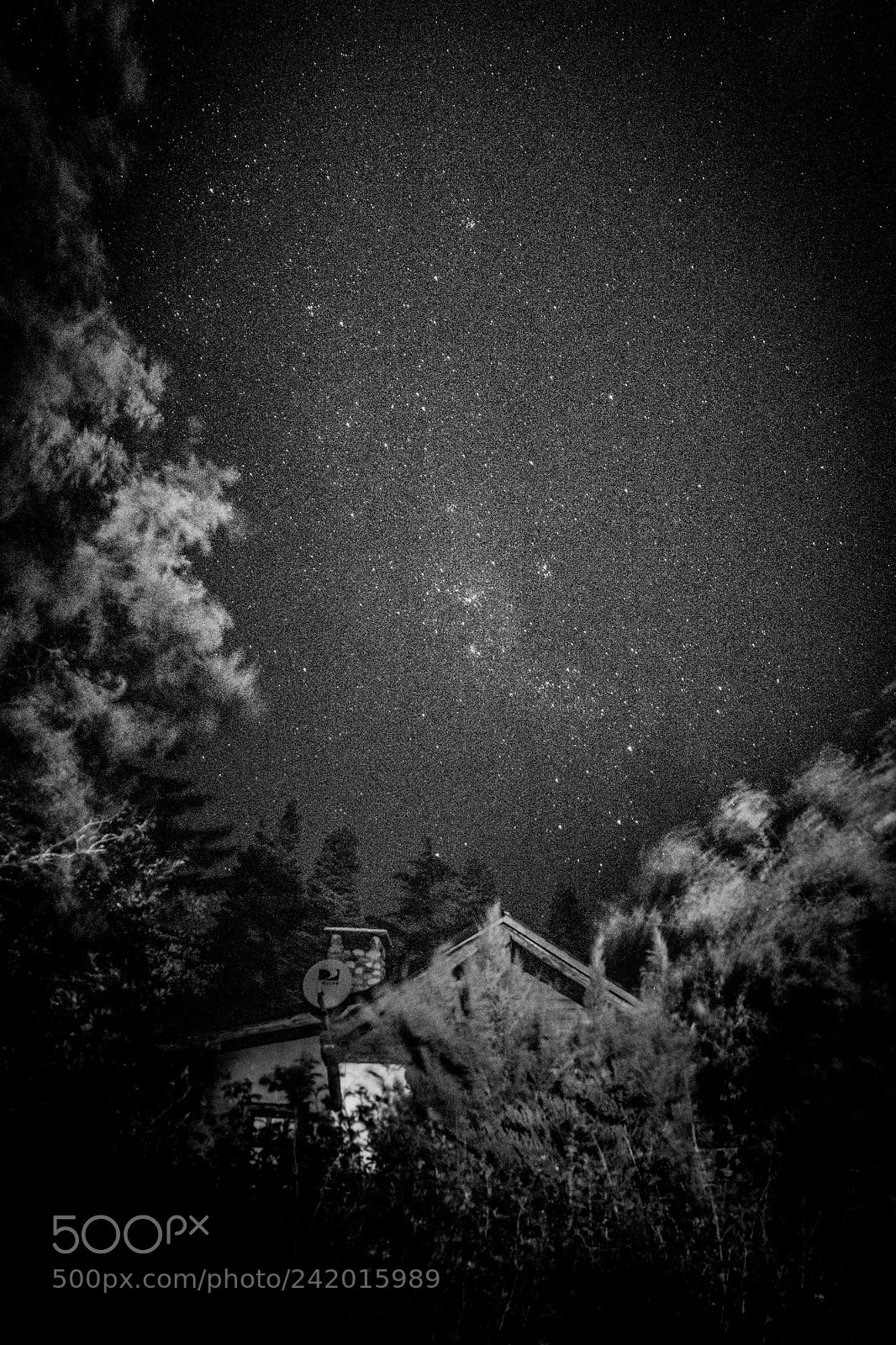 Canon EOS 7D Mark II sample photo. Space oddity photography