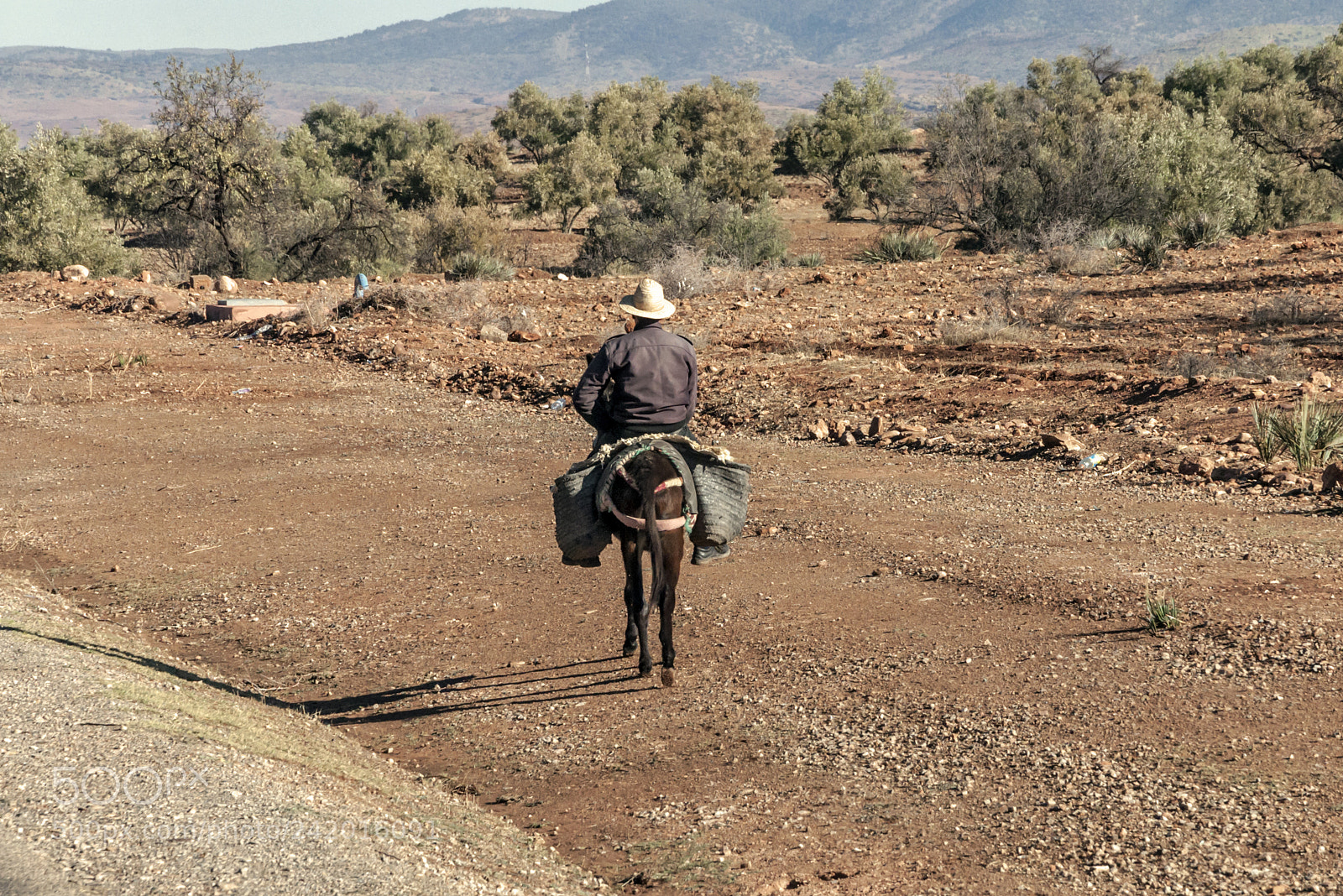 Nikon D90 sample photo. Moroccan travel photography