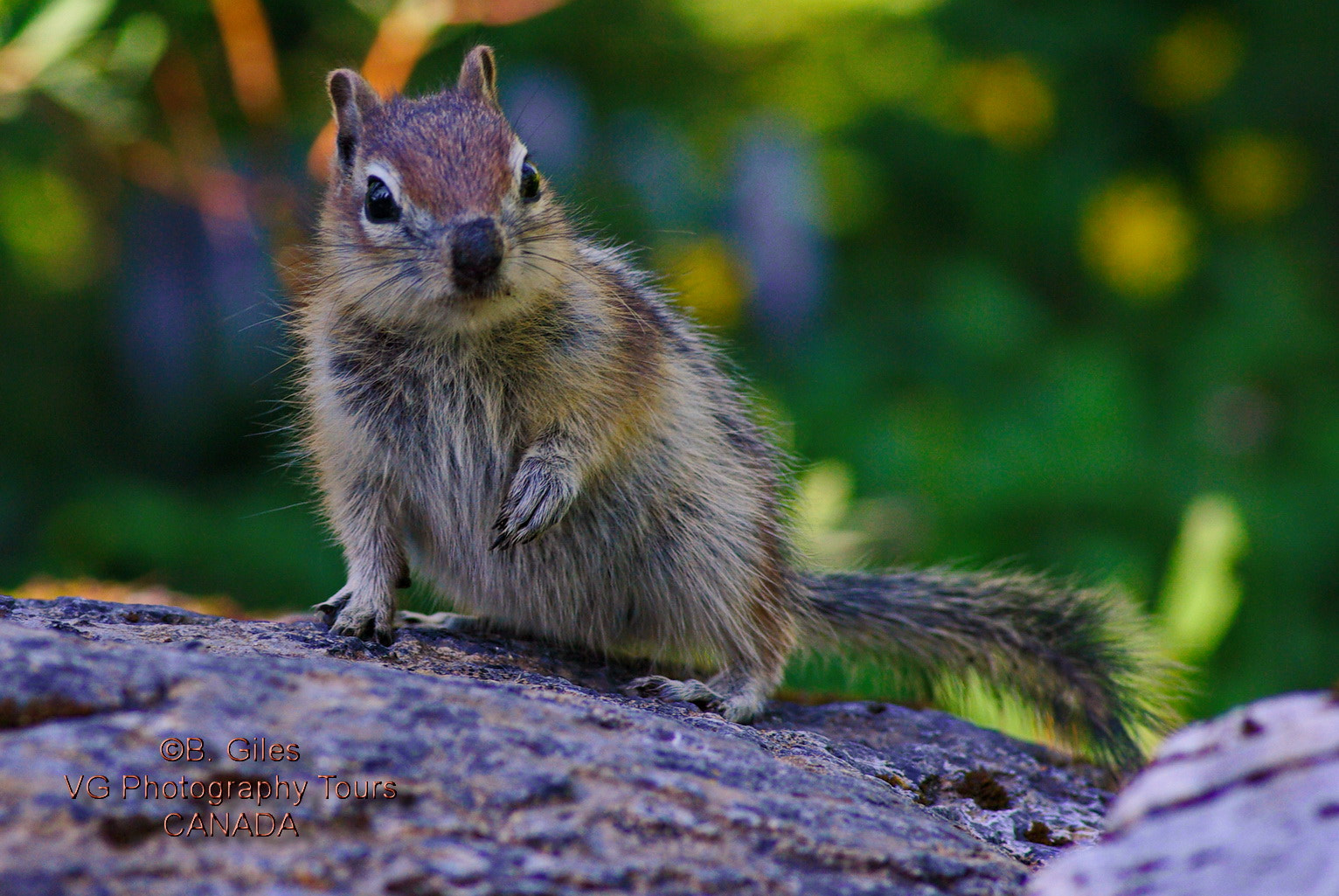 Pentax K10D + Pentax smc D-FA 100mm F2.8 macro sample photo. Curious youngster photography