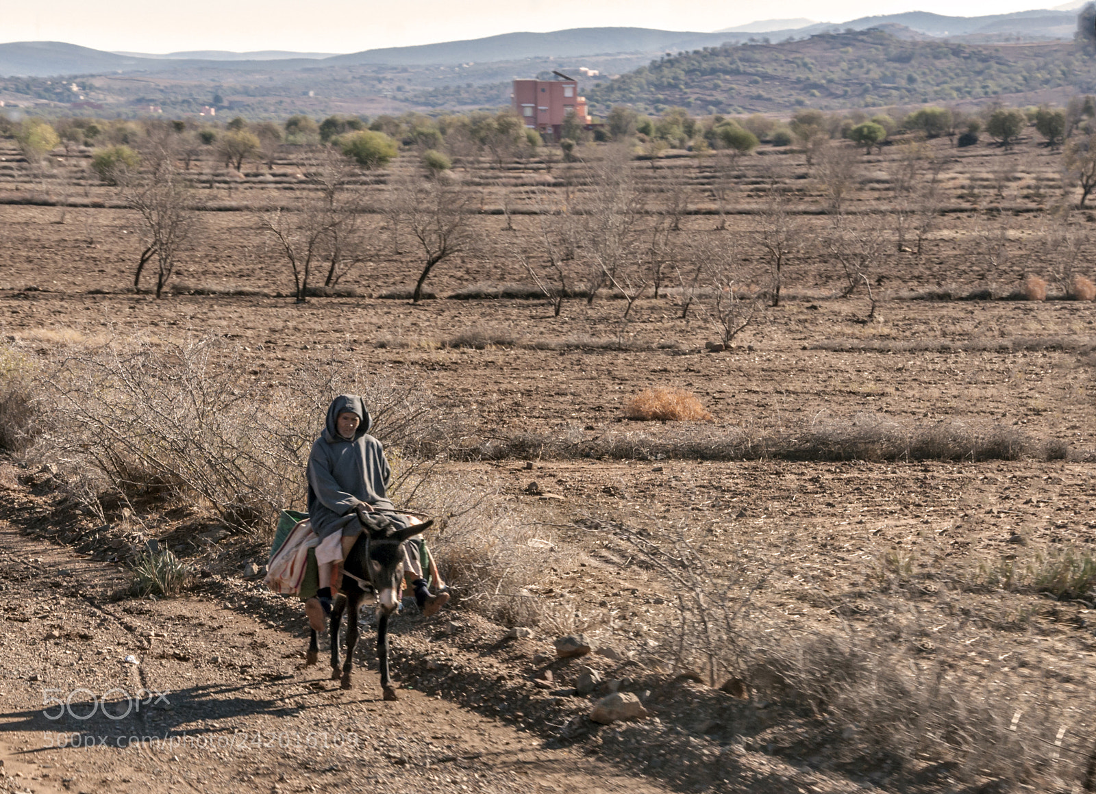 Nikon D90 sample photo. Moroccan traveller photography