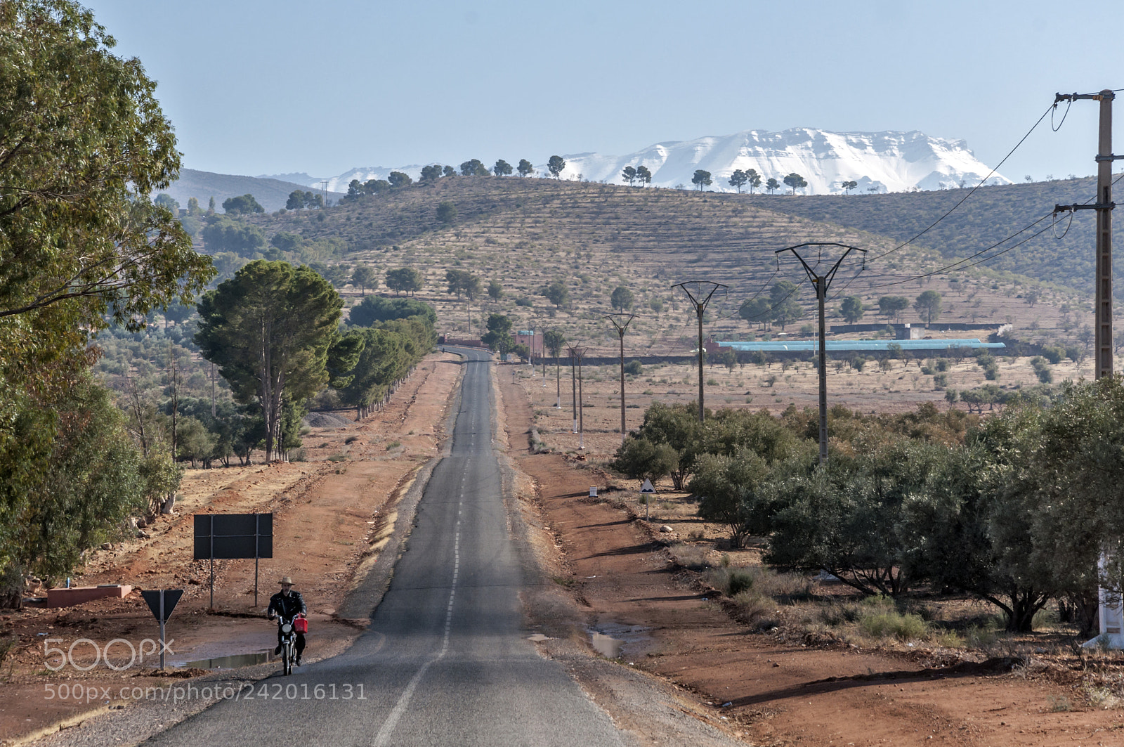 Nikon D90 sample photo. Moroccan cyclist photography