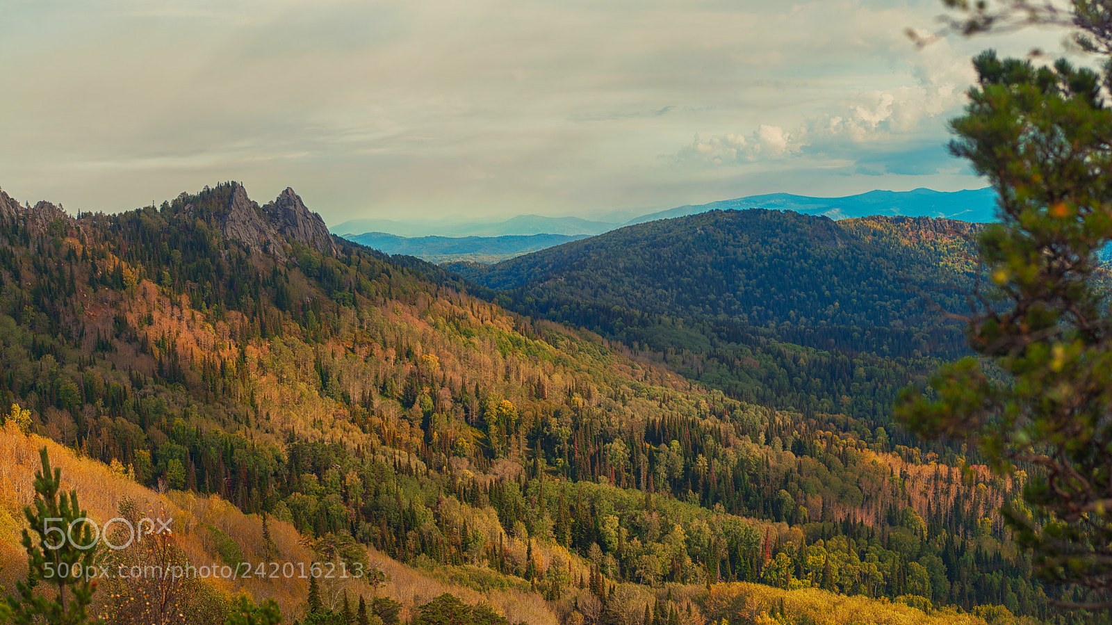 Nikon D700 sample photo. Beauty view in mountains photography