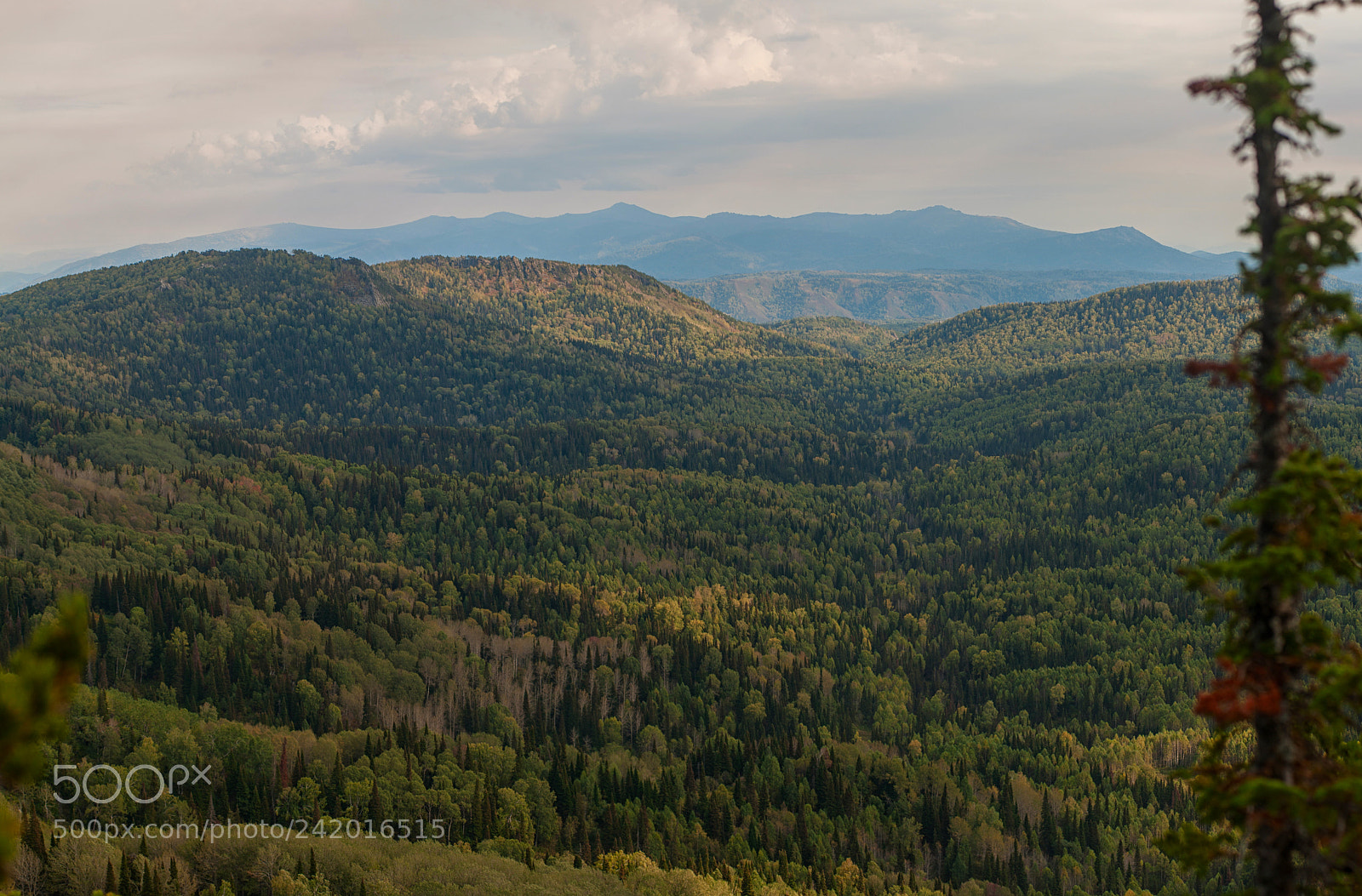 Nikon D700 sample photo. Beauty view in mountains photography