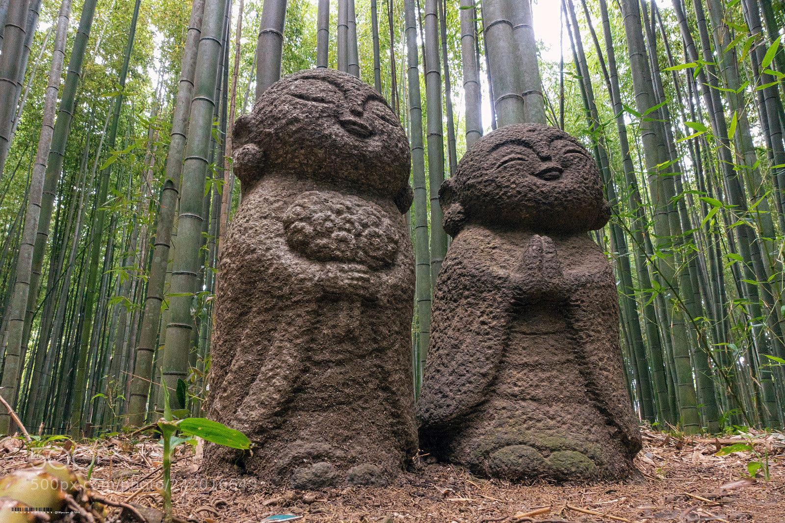 Sony Cyber-shot DSC-RX100 III sample photo. Bamboo forest, kyoto photography