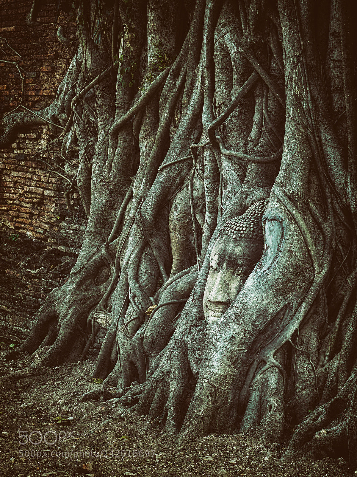 Olympus OM-D E-M1 Mark II sample photo. Hidden buddha face photography