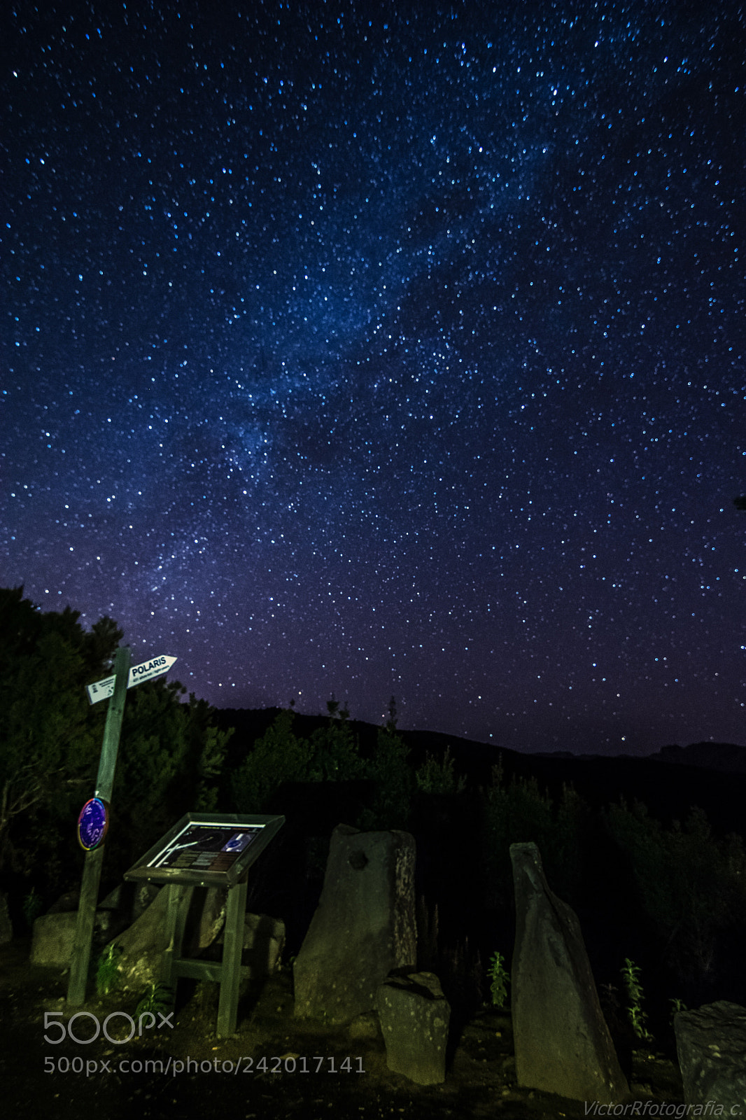 Nikon D7100 sample photo. Polaris. photography