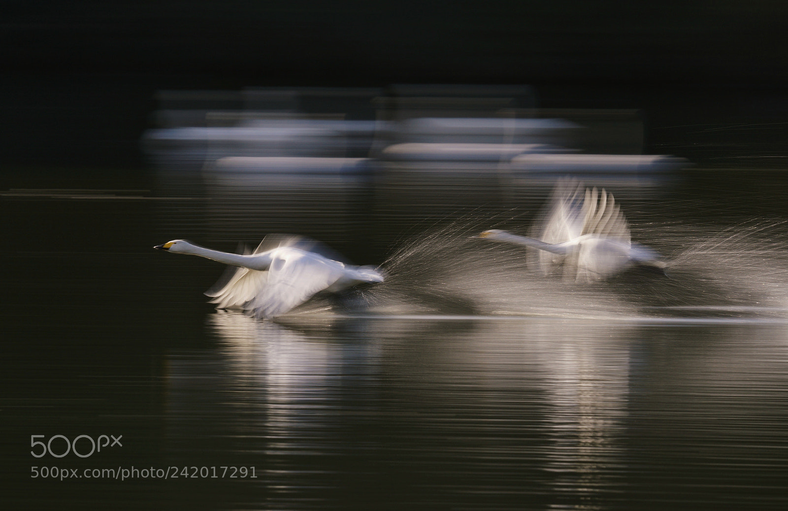Sony ILCA-77M2 sample photo. (morning take off) photography