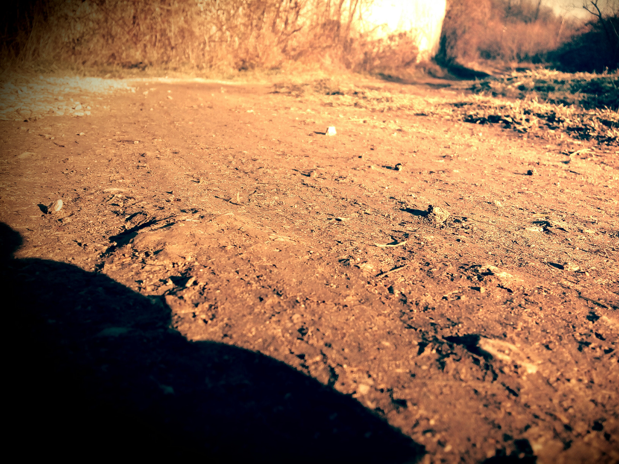 Lenovo VIBE K10 sample photo. Road photography