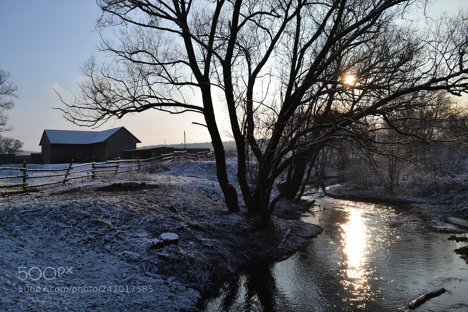 Nikon D3100 sample photo. +2 photography