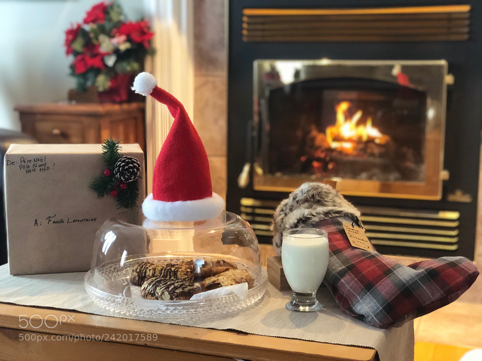 Apple iPhone 8 Plus sample photo. Santa’s reward!!! photography