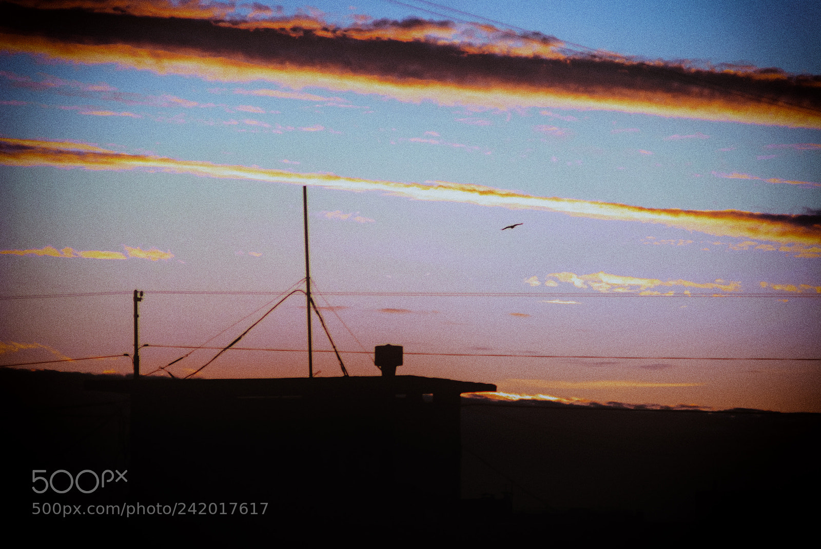 Sony Alpha DSLR-A230 sample photo. Evening sky photography