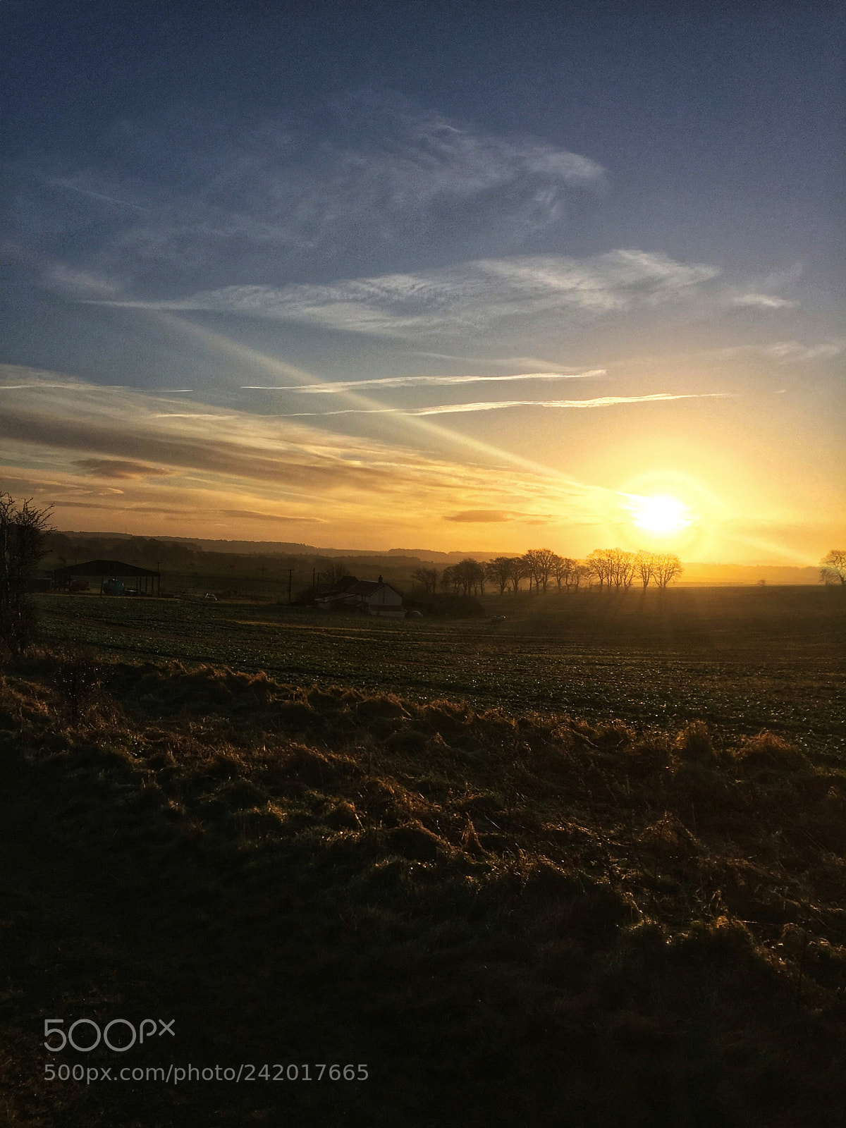 Apple iPhone 6 sample photo. Letcombe bassett in all photography