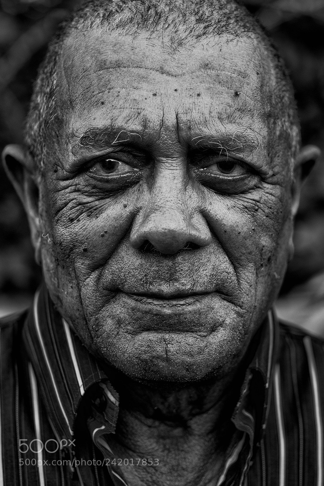 Fujifilm X-T2 sample photo. Kind wisdom photography