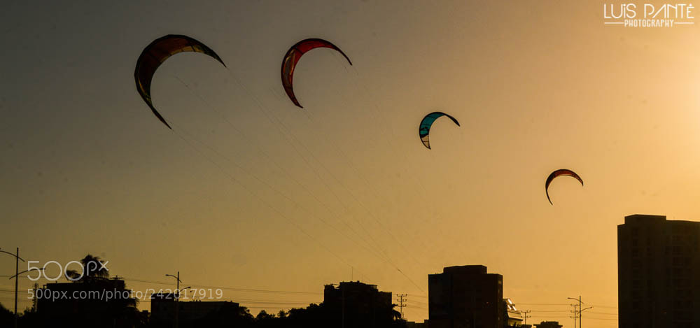 Nikon D3200 sample photo. Alternative photography