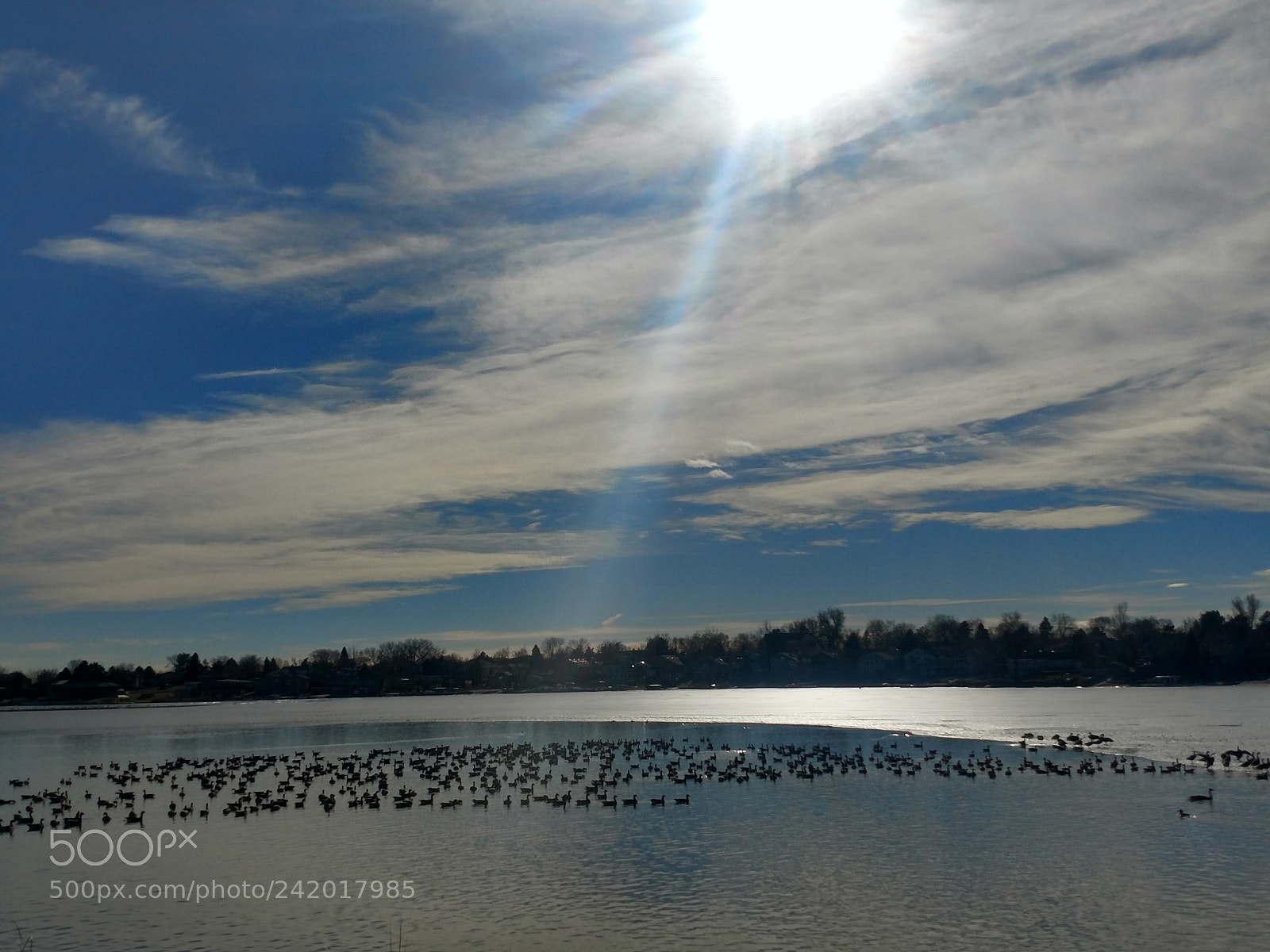 Motorola XT1650 sample photo. The pond photography
