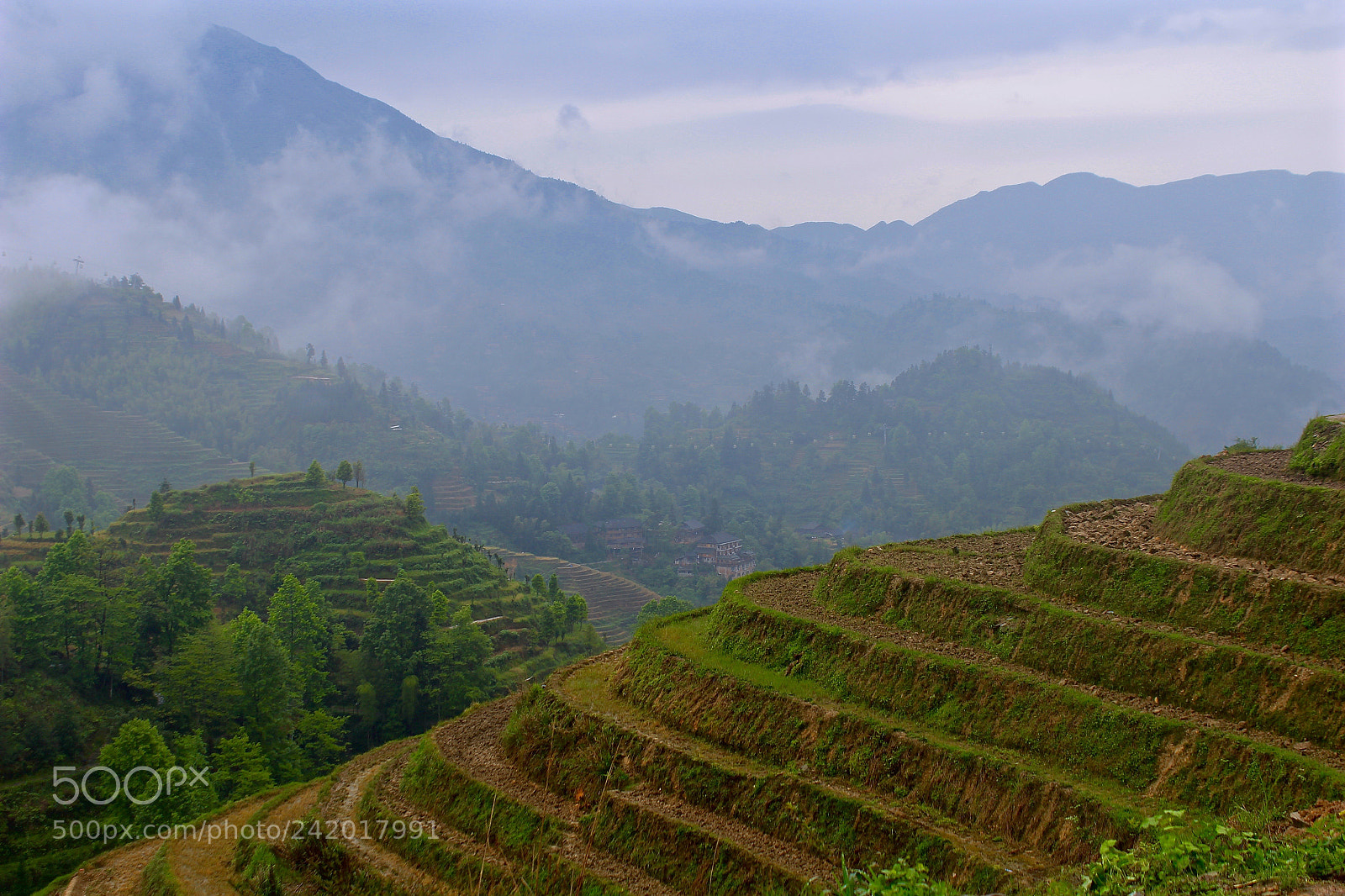 Canon EOS 100D (EOS Rebel SL1 / EOS Kiss X7) sample photo. Rice terraces photography