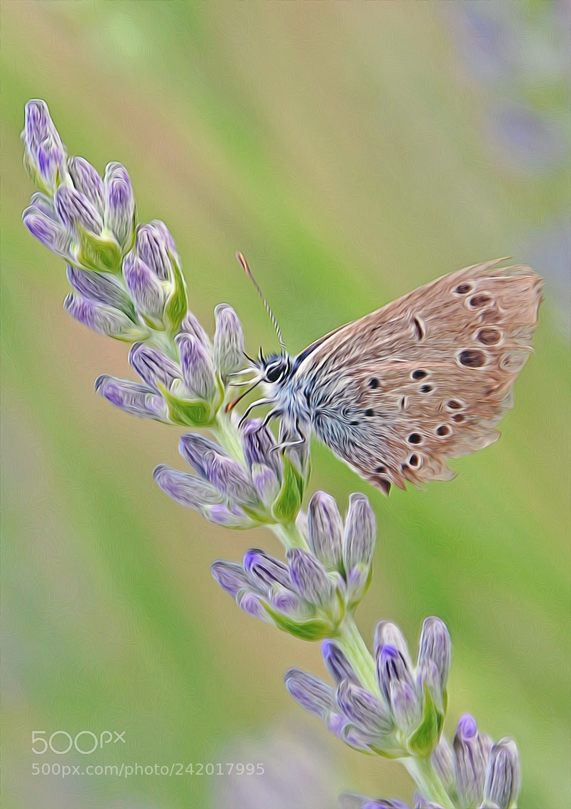 Nikon D90 sample photo. !! :) photography