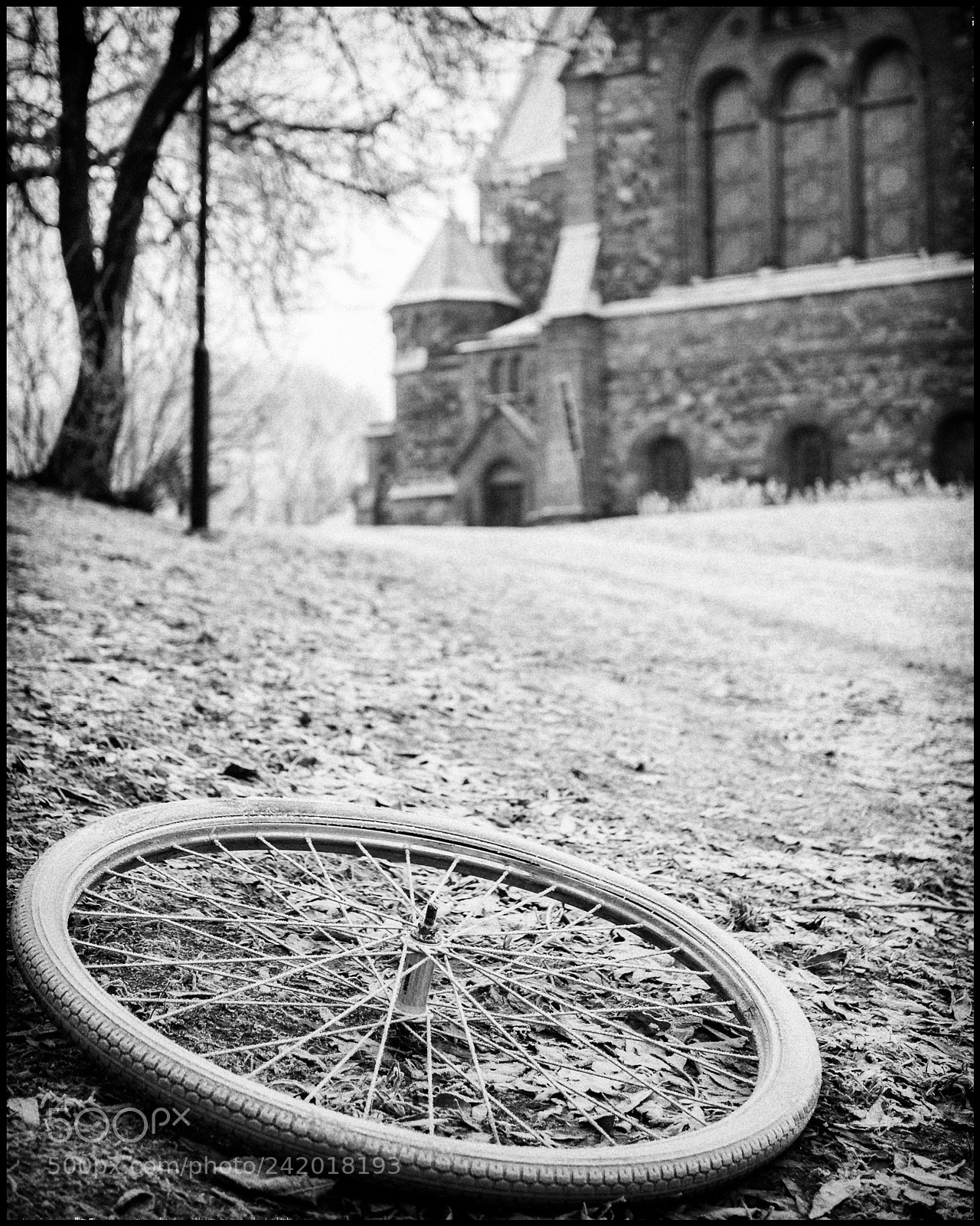 Fujifilm X-E1 sample photo. Vitabergsparken, stockholm photography