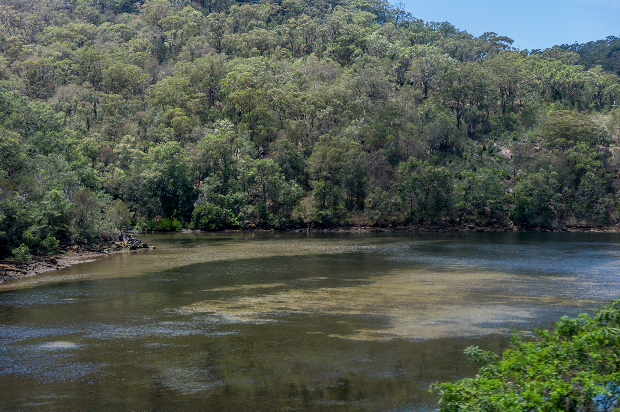 Leica M9 + Summicron-M 50mm f/2 (IV, V) sample photo. East gosford photography