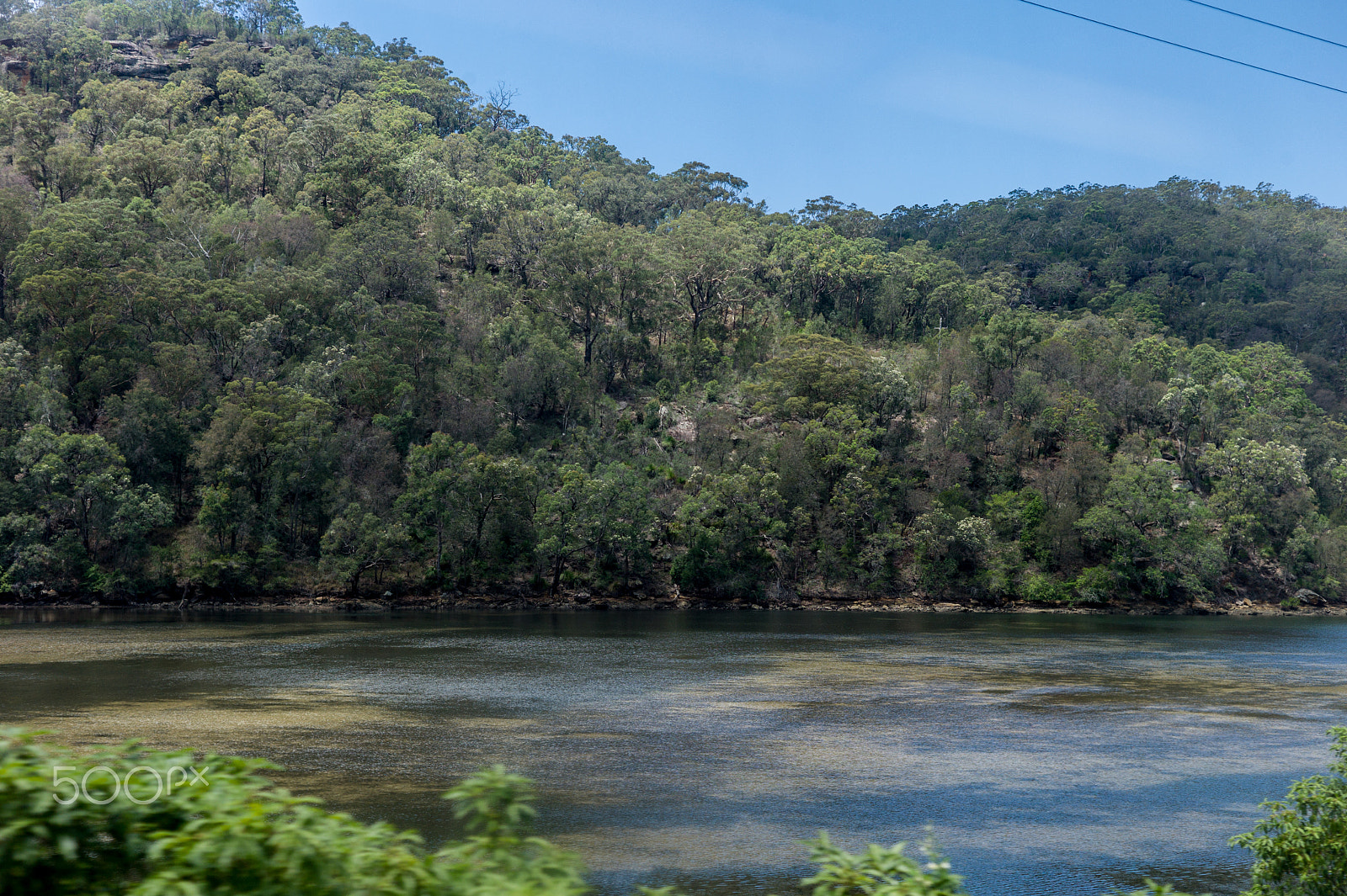 Leica M9 + Summicron-M 50mm f/2 (IV, V) sample photo. East gosford photography