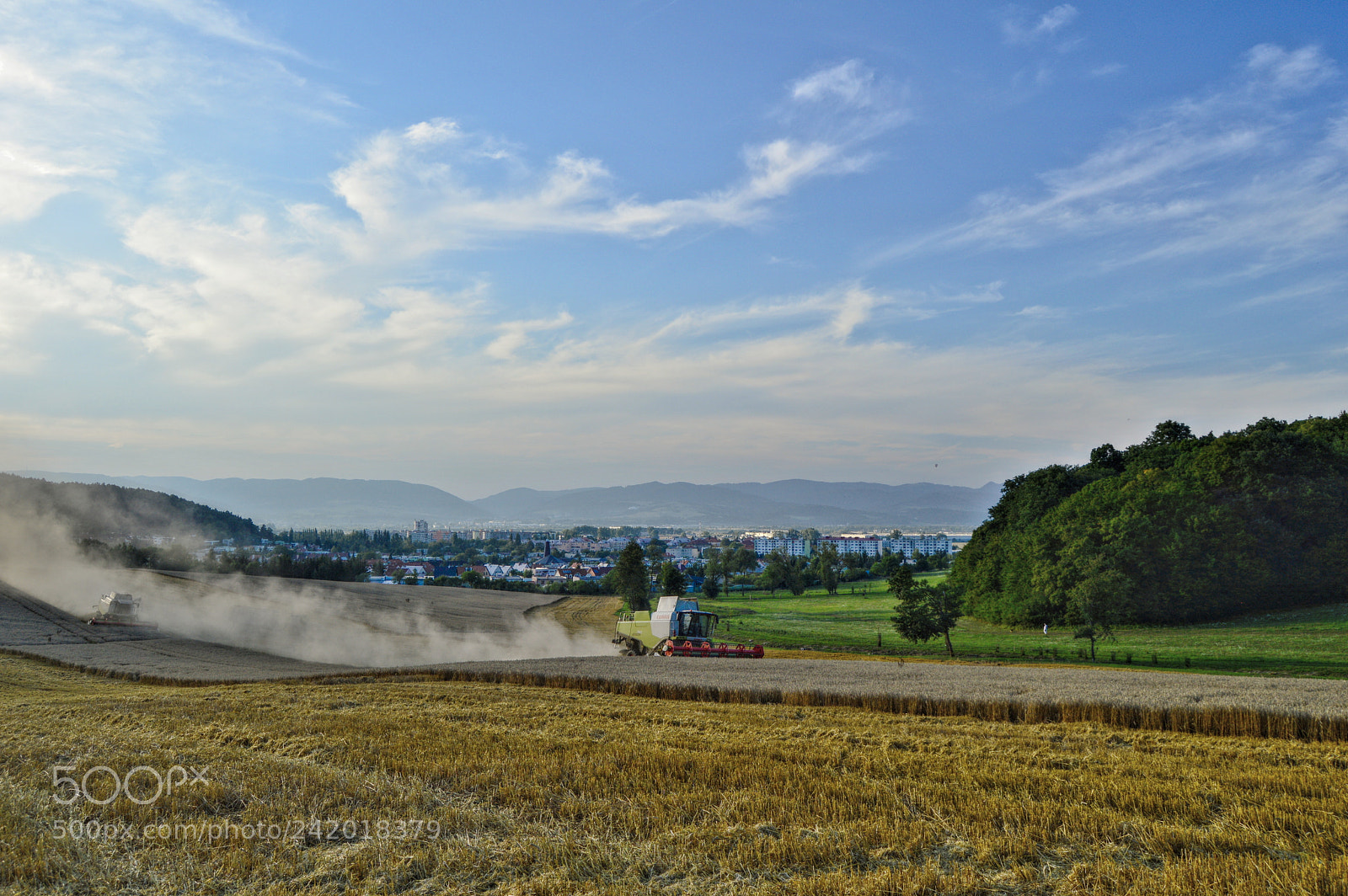Nikon D3200 sample photo. Harvest 2017 photography