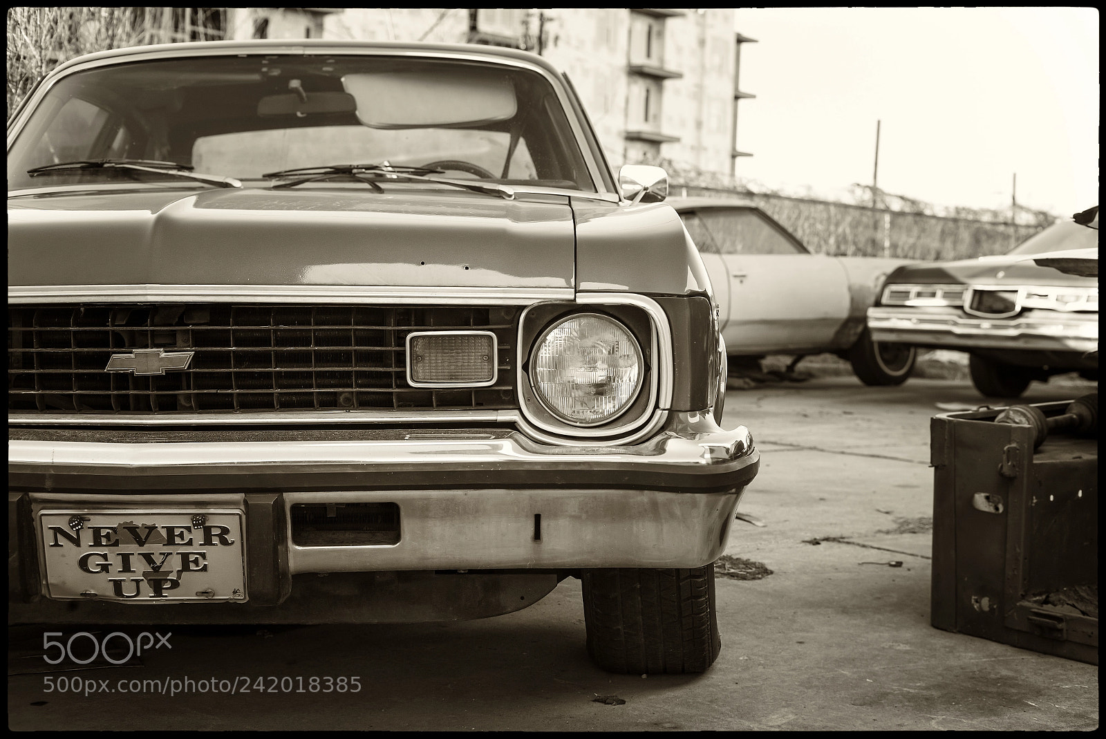 Leica M Monochrom (Typ 246) sample photo. Never give up photography