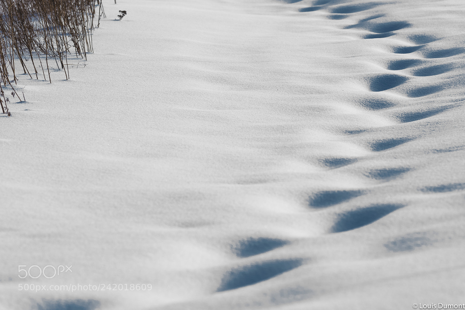 Nikon D810 sample photo. Quelqu'un est passe par photography