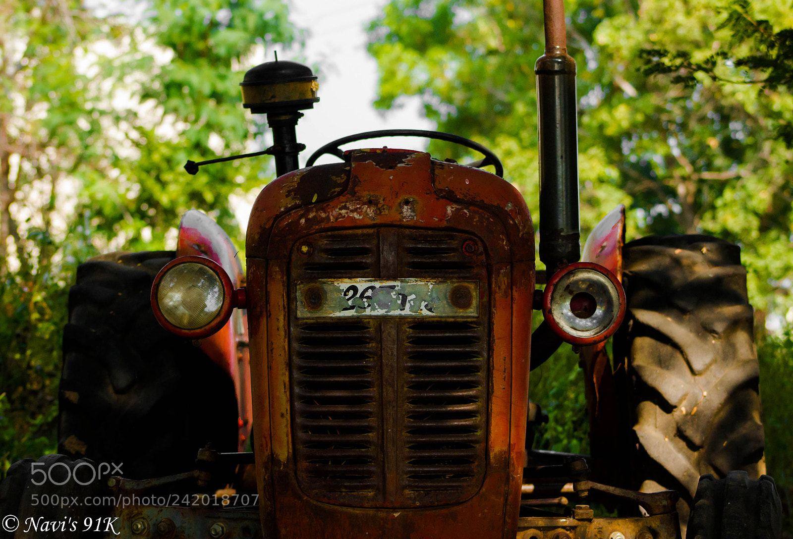 Canon EOS 100D (EOS Rebel SL1 / EOS Kiss X7) sample photo. Rusty photography