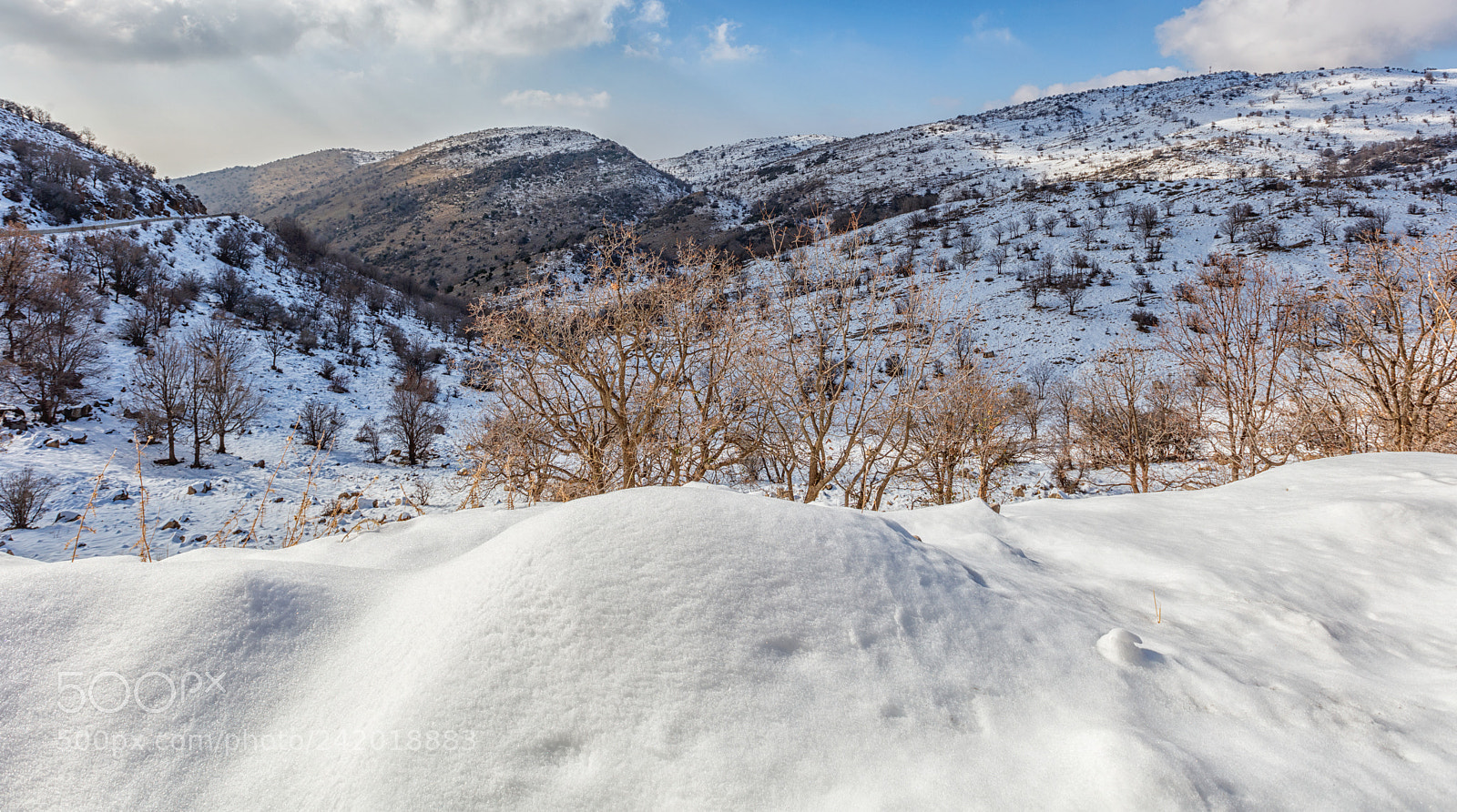 Canon EOS 5DS sample photo. Winter on the golan photography